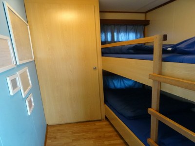 Holiday park Chalet nahe Drunense Dünen im Van-Gogh-Stil - Features photo 6