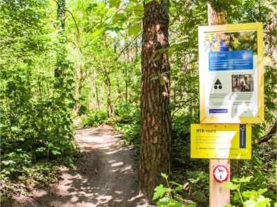 Holiday park Chalet nahe Drunense Dünen im Van-Gogh-Stil - Environment photo 28