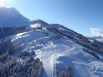 Apartment Tirol - Outdoor photo 22