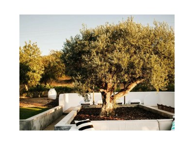 Holiday house Quinta Cereja - Outdoor photo 11