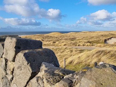 Holiday apartment DÃ¼nenGras - Environment photo 28