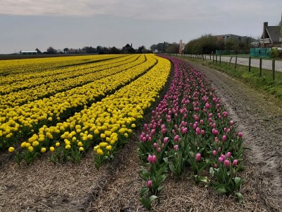 Holiday apartment DÃ¼nenGras - Environment photo 30