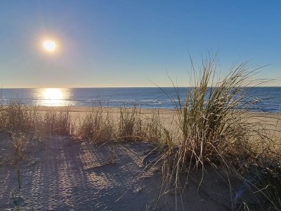 Holiday apartment DÃ¼nenGras - Environment photo 31