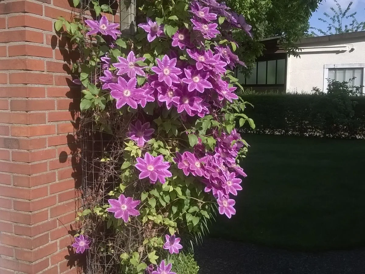 Holiday apartment Bargteheide - Outdoor photo 4