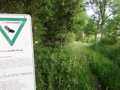 Holiday apartment Bargteheide - Environment photo 16