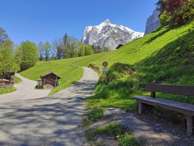 Holiday apartment Am Lehn - Environment photo 35