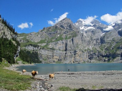 Holiday apartment Am Lehn - Environment photo 40