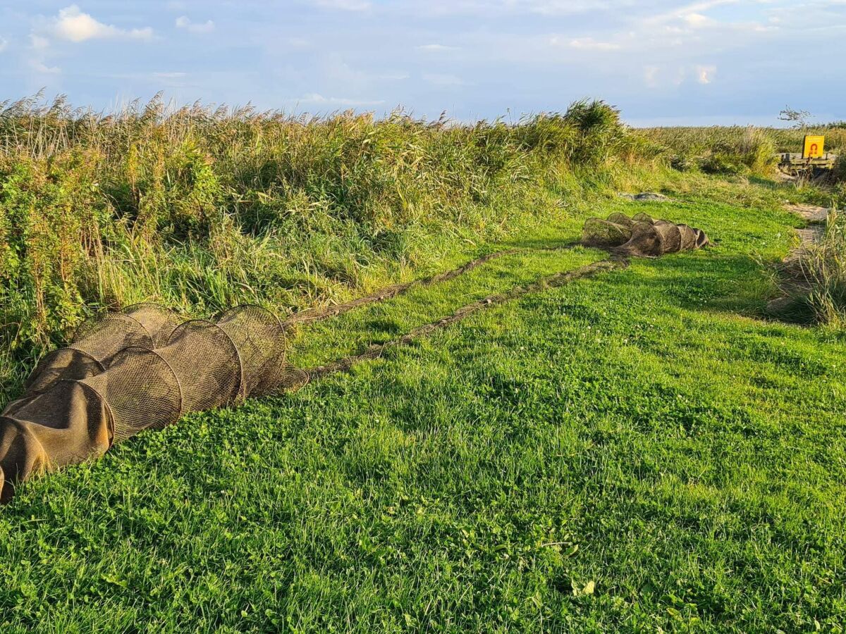 Holiday house Modern Retreat near Sandholm - By Traum Ferienwohnungen - Outdoor photo 4