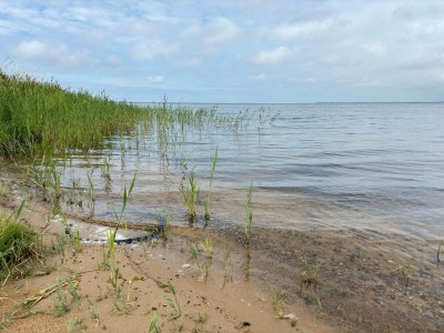 Holiday house Modern Retreat near Sandholm - By Traum Ferienwohnungen - Outdoor photo 2