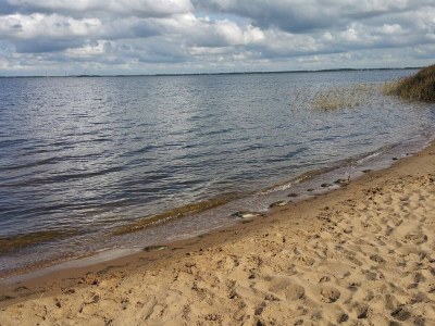 Holiday house Modern Retreat near Sandholm - By Traum Ferienwohnungen - Outdoor photo 38