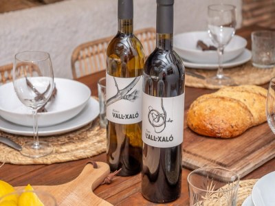 Villa Villa Vista in Alcalali mit Pool und Aussicht - Outdoor photo 32