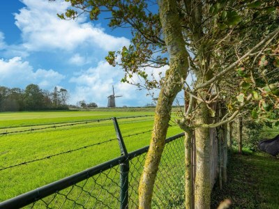 Holiday house Ferienhaus in Burgerbrug in Strandnähe - Outdoor photo 5