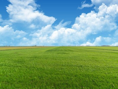 Holiday house Ferienhaus in Burgerbrug in Strandnähe - Environment photo 34