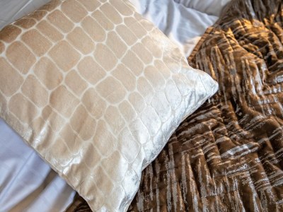 Holiday house Holiday home near dunes with wellness garden - Outdoor photo 34