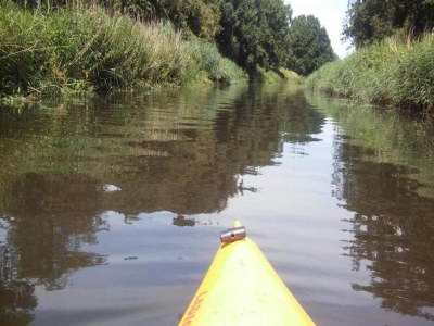 Holiday park Wellness Cabin in Netherlands with Outdoor Spa - Environment photo 16
