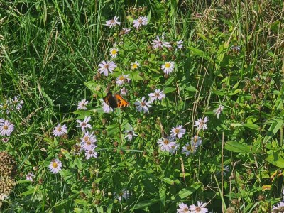 Holiday house 6 Personen Ferienhaus in Løkken-By Traum - Outdoor photo 14