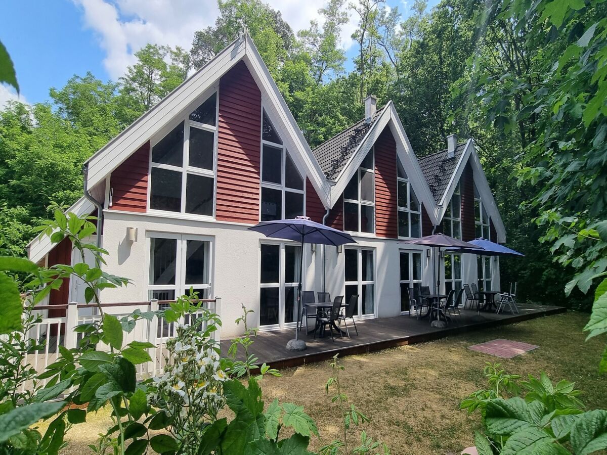 Holiday house XXL Ferienhaus in Bad Saarow - Outdoor photo 2