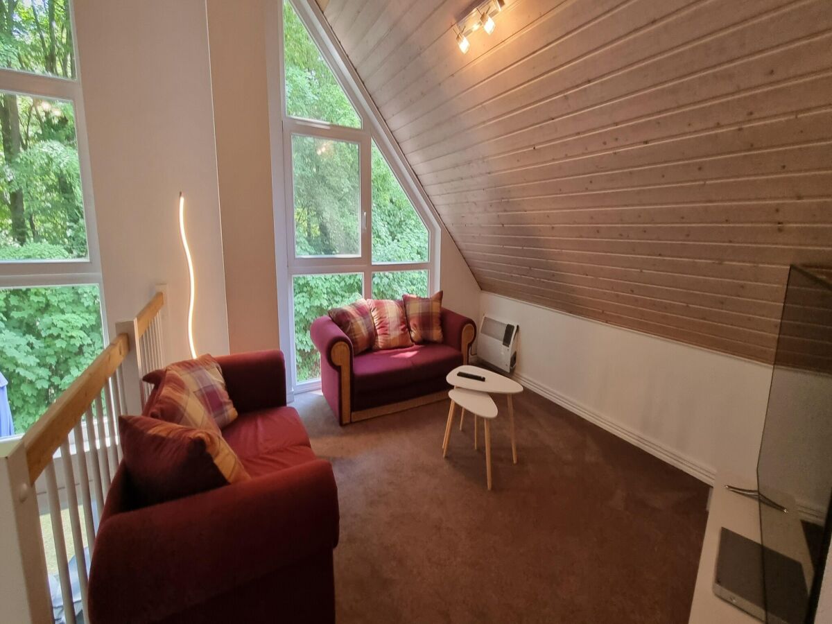 Holiday house XXL Ferienhaus in Bad Saarow - Features photo 3