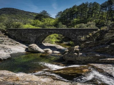 Holiday house Cévennes View Retreat in Molières - Environment photo 31