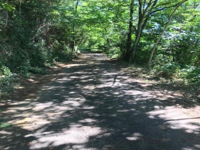 Holiday house Cévennes View Retreat in Molières - Environment photo 32