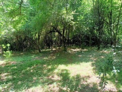 Holiday house Cévennes View Retreat in Molières - Environment photo 38