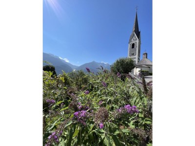 Holiday apartment Bergverliebt - Environment photo 30