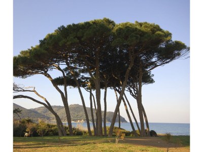 Holiday house Cottage Case di Olimpia - Environment photo 20