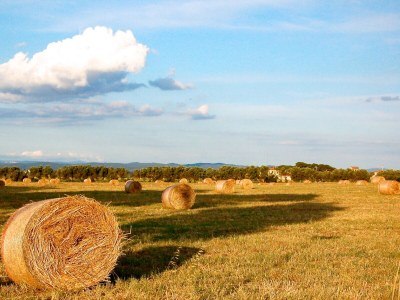 Holiday apartment Belmare - Environment photo 14