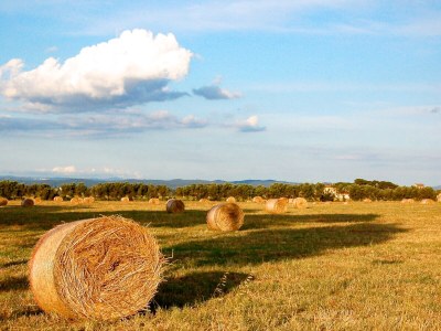 Holiday apartment Etruria - Environment photo 18