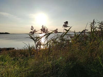 Holiday house Haus am Merr auf Fehmarn OT Westerbergen - Environment photo 27