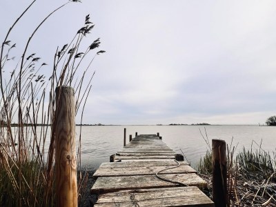 Holiday house Haus am Merr auf Fehmarn OT Westerbergen - Environment photo 30