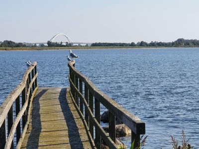 Holiday house Haus am Merr auf Fehmarn OT Westerbergen - Environment photo 35