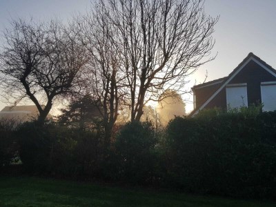 Holiday house Burgh-Haamstede | ZE186 - Environment photo 17