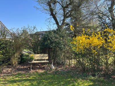 Holiday house Burgh-Haamstede | ZE186 - Environment photo 18