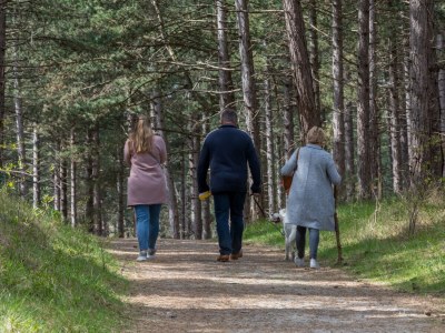 Holiday house Burgh-Haamstede | ZE186 - Environment photo 25