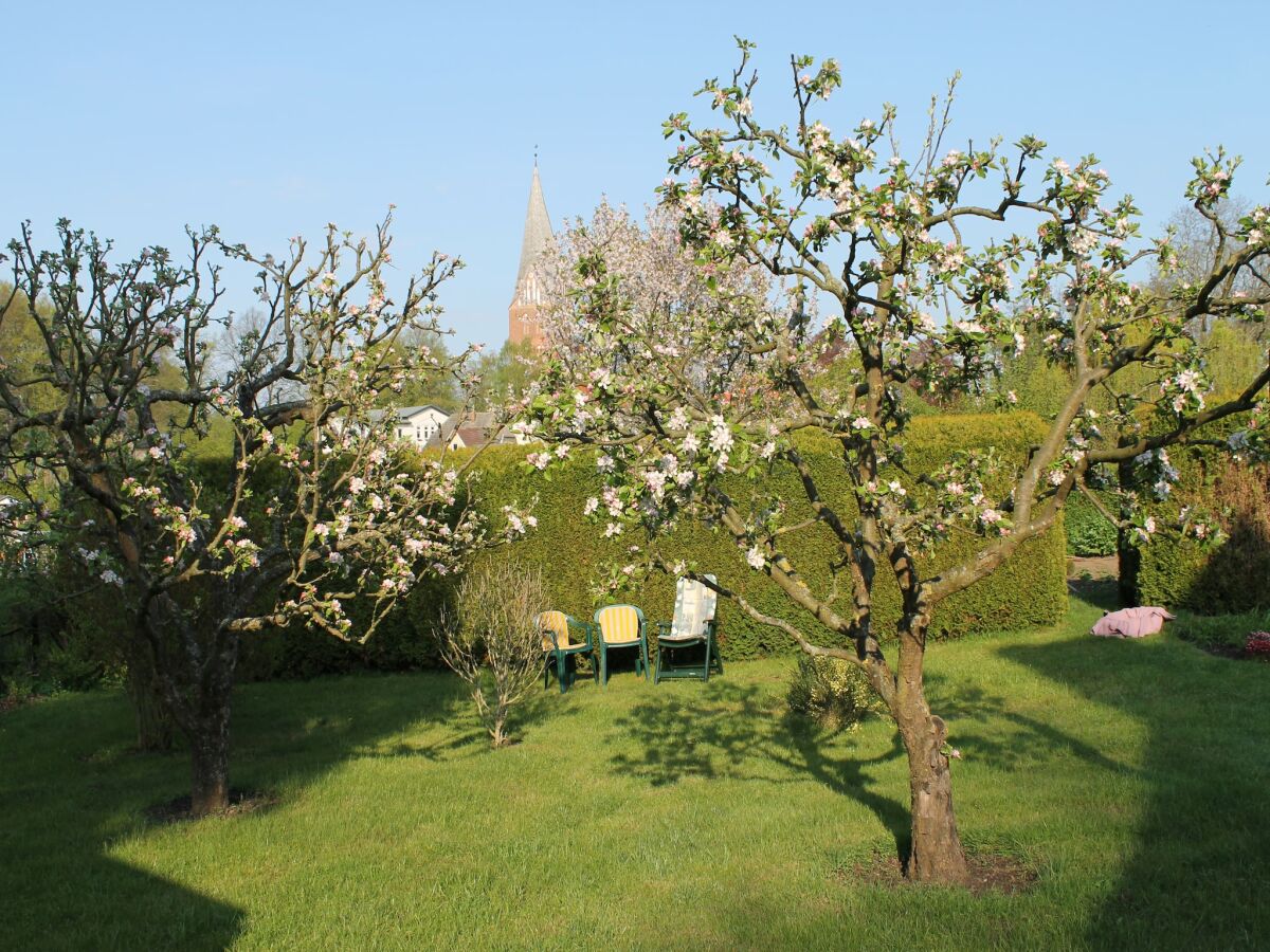 Apartment Wohnung mit großem Garten an der Ostseeküste - Outdoor photo 4