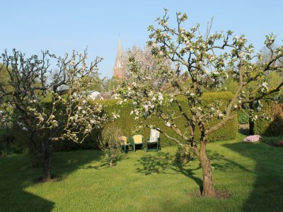 Apartment Wohnung mit großem Garten an der Ostseeküste - Outdoor photo 4