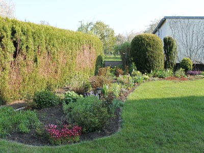 Apartment Wohnung mit großem Garten an der Ostseeküste - Outdoor photo 5