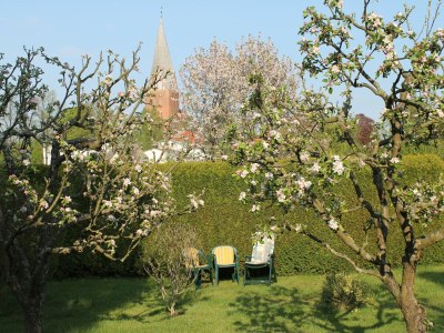 Apartment Wohnung mit großem Garten an der Ostseeküste - Outdoor photo 7