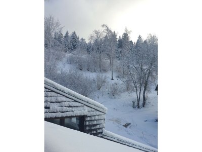 Holiday apartment Neukirch Southern Black Forest - Environment photo 23