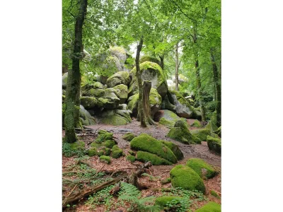 Holiday apartment Neukirch Southern Black Forest - Environment photo 25