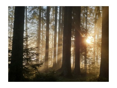 Holiday apartment Neukirch Southern Black Forest - Environment photo 26