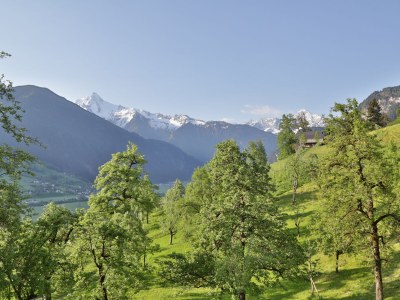 Holiday apartment Garden View - Environment photo 13