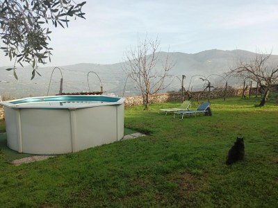 Apartment Luxury Retreat in Montevettolini - Outdoor photo 8