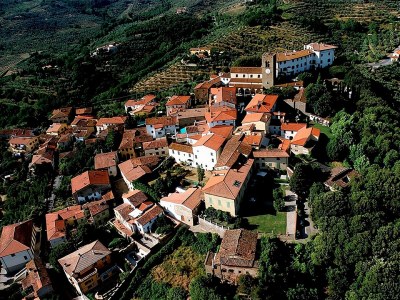 Apartment Luxury Retreat in Montevettolini - Environment photo 26