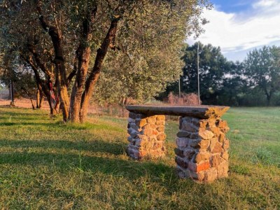 Apartment Luxury Retreat in Montevettolini - Environment photo 30