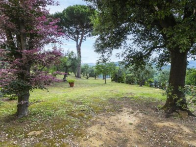 Apartment Luxury Retreat in Montevettolini - Environment photo 36