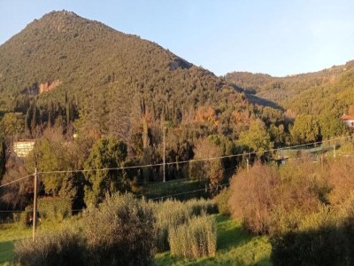 Apartment Luxury Retreat in Montevettolini - Environment photo 37