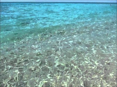 Holiday house Villa in Ostuni’s White City - Environment photo 38