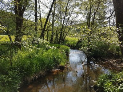 caravan Auw Farm Life Escape - Environment photo 12